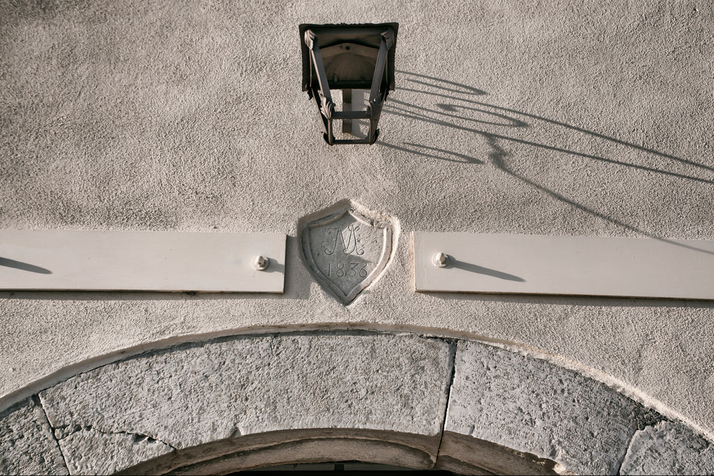Tour "Guado San Nicola" – Approfondimento Enologico