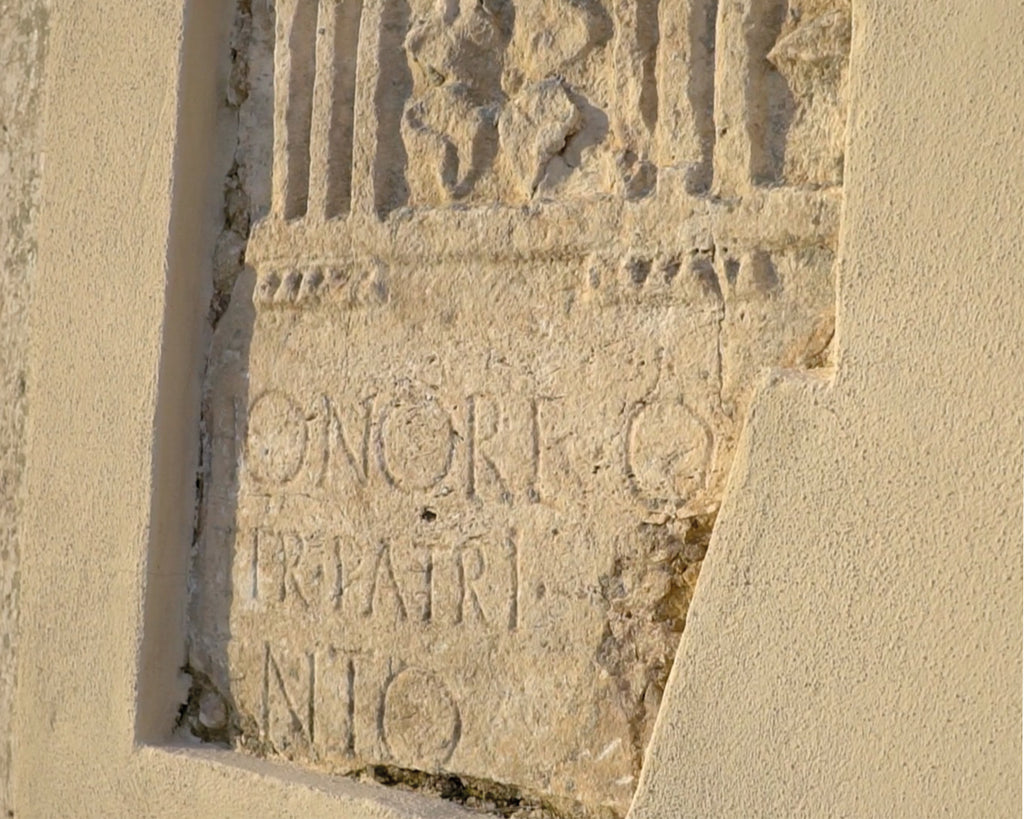 Esperienza "Il Podere" – Visita al Vigneto e Degustazione