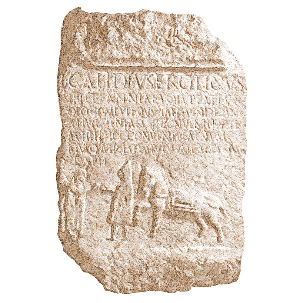 Degustazione "La Leggenda di Calidius" – Visita e Tour in Cantina