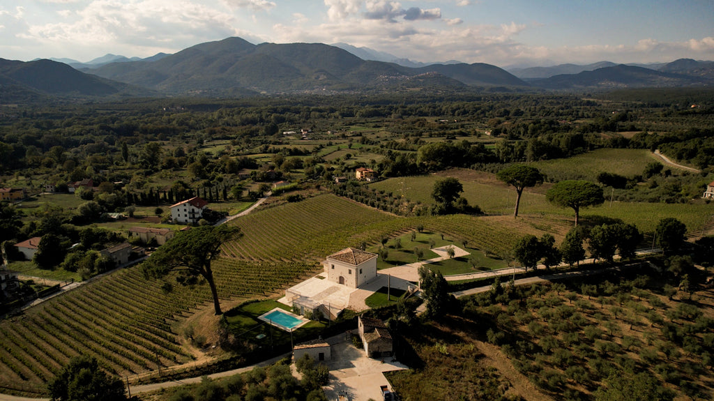 Tour "Guado San Nicola" – Approfondimento Enologico