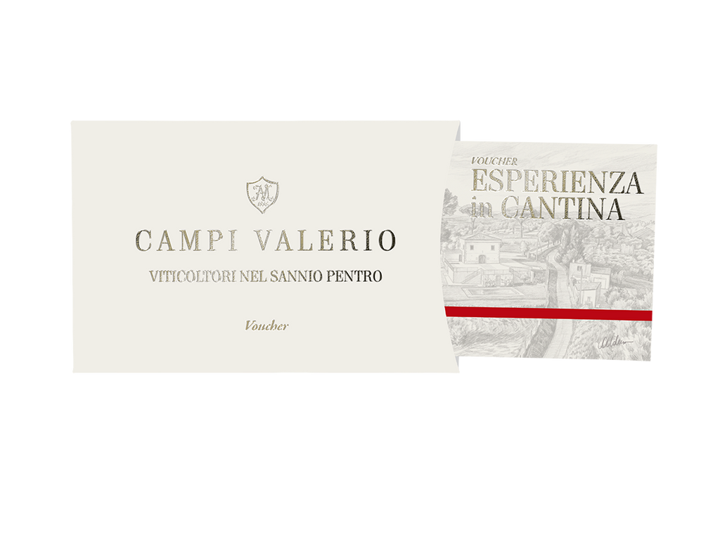 Voucher CAMPI VALERIO