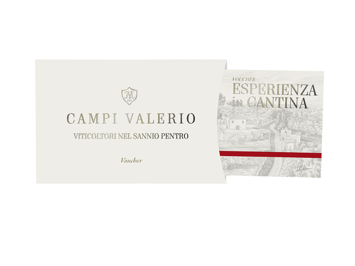 Voucher CAMPI VALERIO